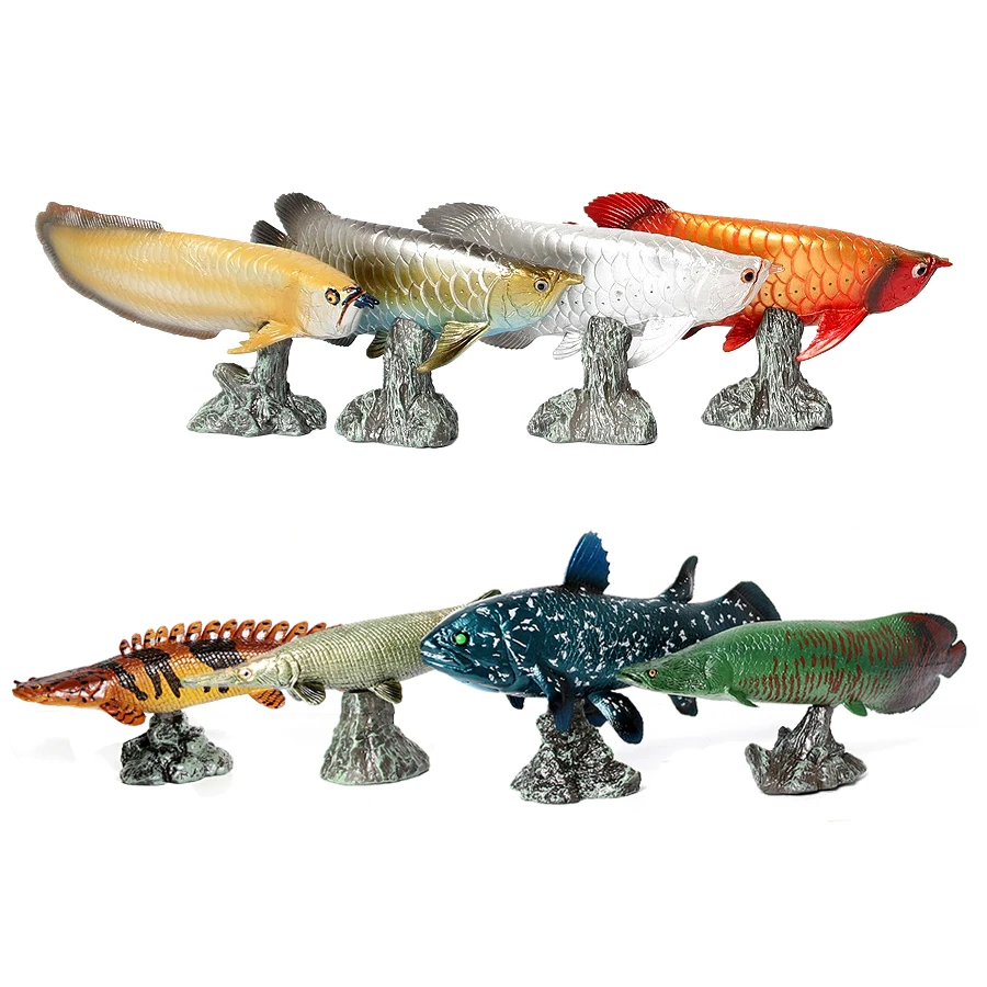 Kids Toys Reviews - Modellini di Pesci Arowana, Pirarucu, Coelacanthe,