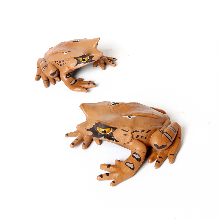 Foresta pluviale Animali Rane  - Kids Toys Reviews recensione e prezzo