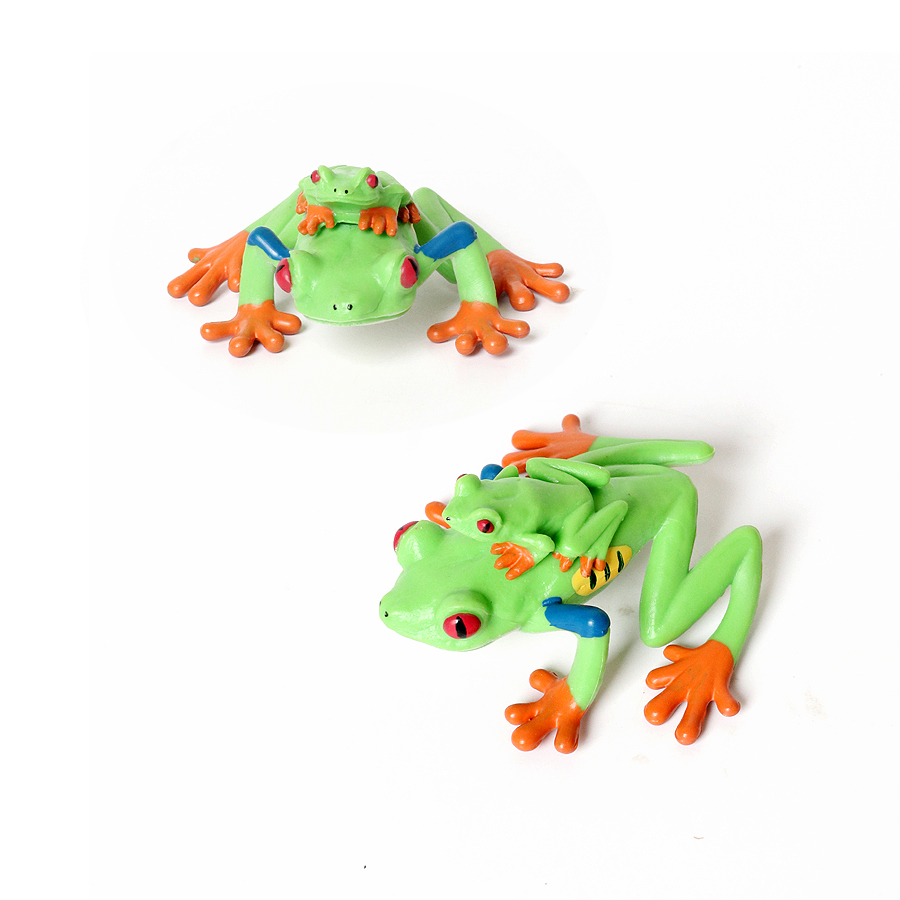 Foresta pluviale Animali Rane  - Kids Toys Reviews recensione e prezzo