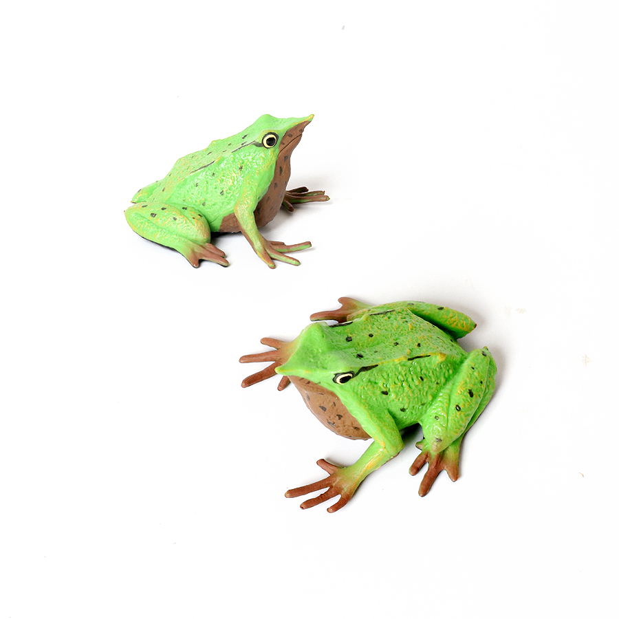 Foresta pluviale Animali Rane  - Kids Toys Reviews recensione e prezzo