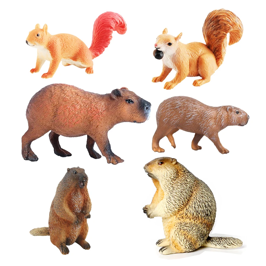Capibara Capybaras Scoiattolo  - Kids Toys Reviews recensione e prezzo