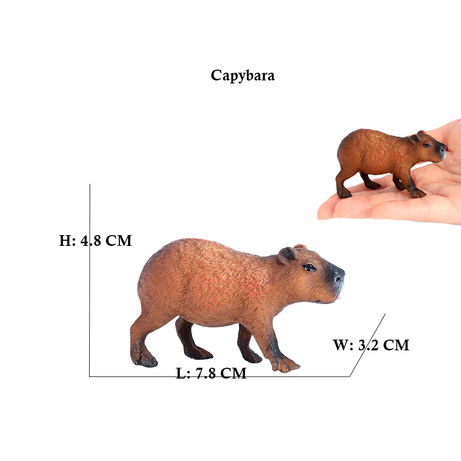 Capibara Capybaras Scoiattolo  - Kids Toys Reviews recensione e prezzo