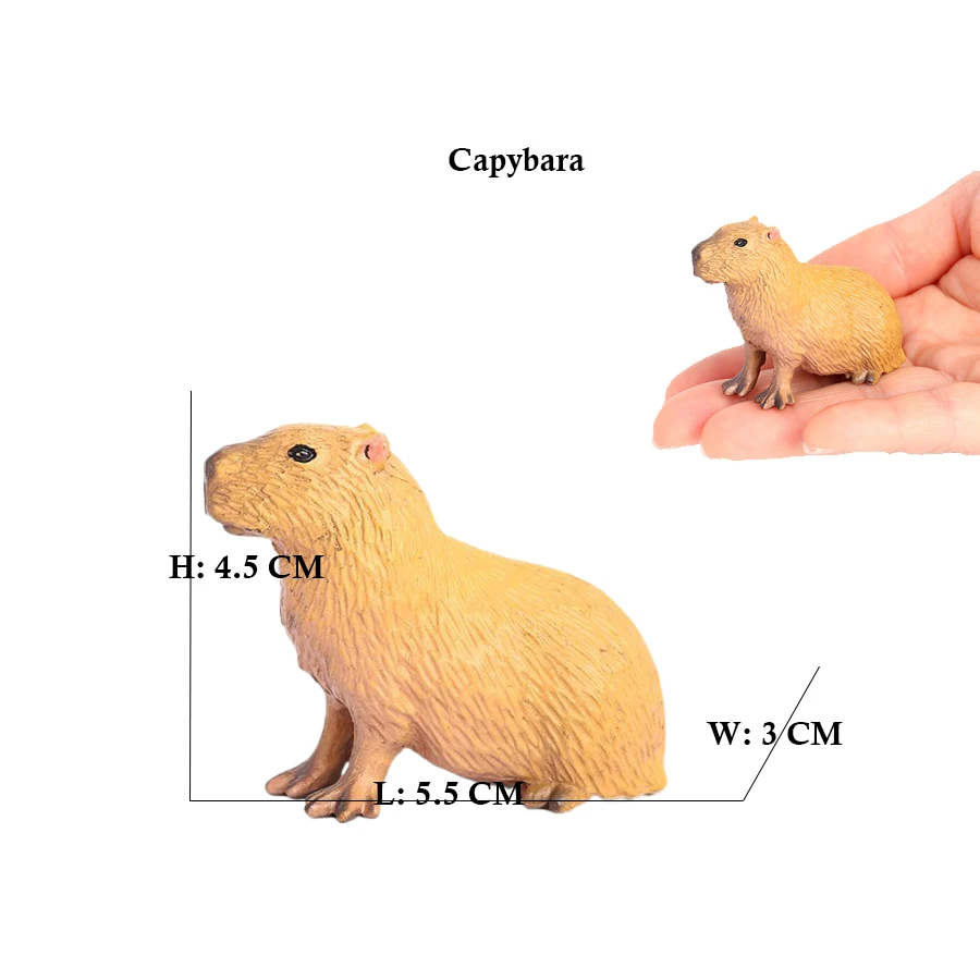 Capibara Capybaras Scoiattolo  - Kids Toys Reviews recensione e prezzo
