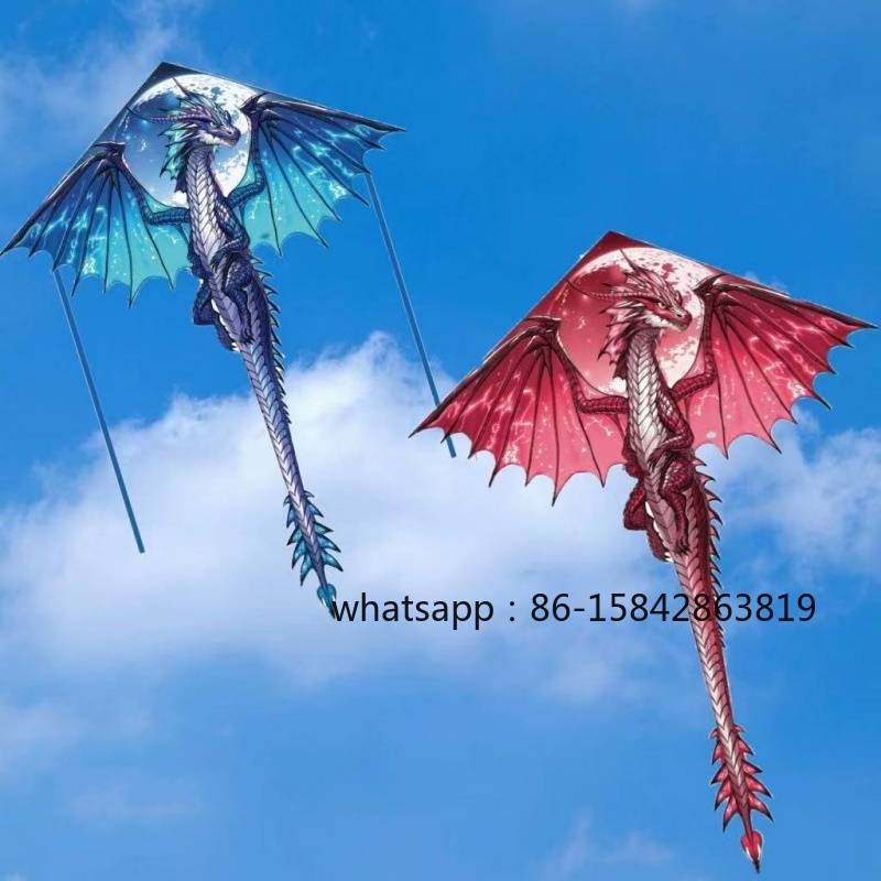 Nuovi aquiloni a forma di pter - Kite Wind Outdoor recensione e prezzo