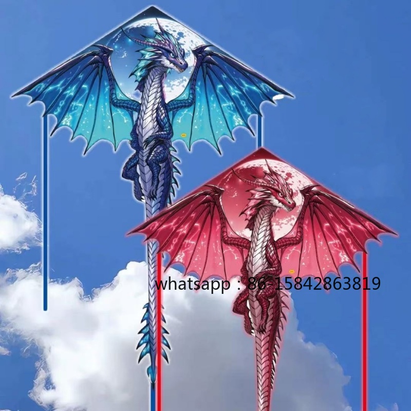 Nuovi aquiloni a forma di pter - Kite Wind Outdoor recensione e prezzo