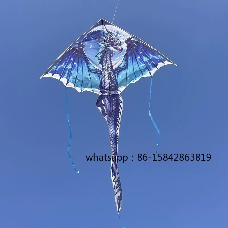 Nuovi aquiloni a forma di pter - Kite Wind Outdoor recensione e prezzo