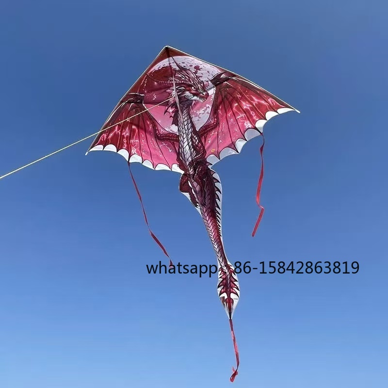 Nuovi aquiloni a forma di pter - Kite Wind Outdoor recensione e prezzo