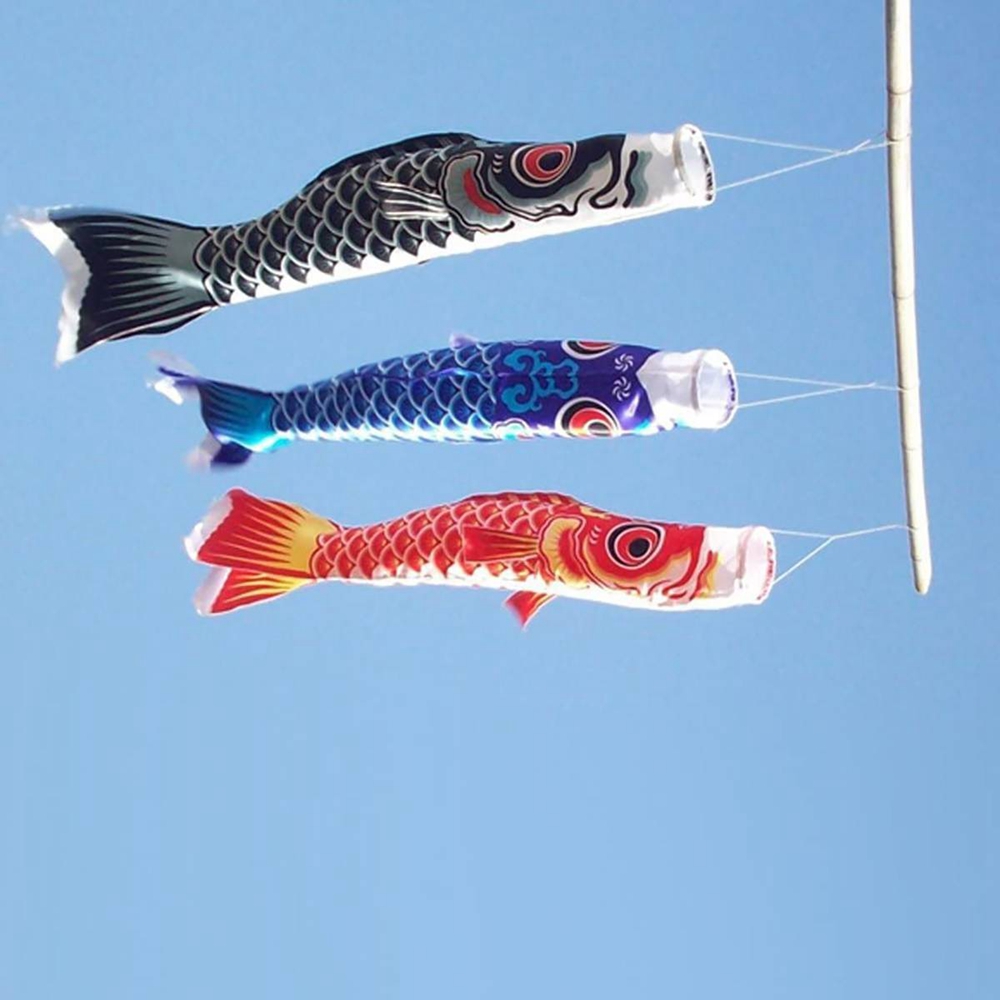 Decorazioni da appendere per e - Kite Wind Outdoor recensione e prezzo