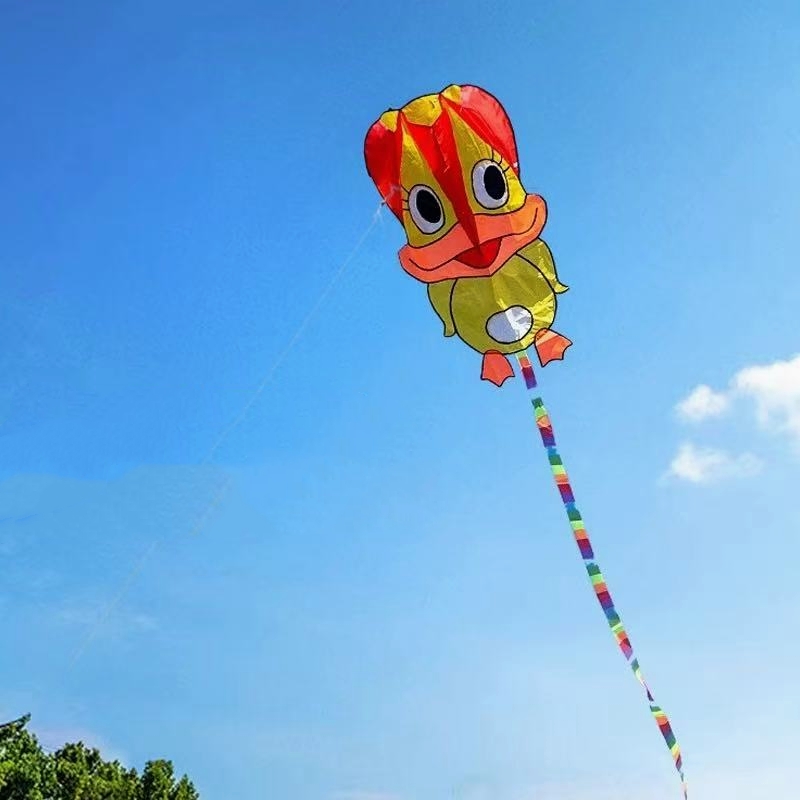Aquiloni gonfiabili a forma di - Kite Wind Outdoor recensione e prezzo