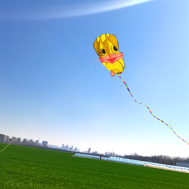 Aquiloni gonfiabili a forma di - Kite Wind Outdoor recensione e prezzo