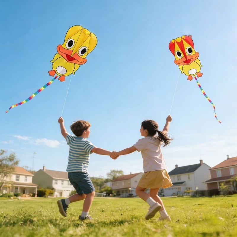 Aquiloni gonfiabili a forma di - Kite Wind Outdoor recensione e prezzo