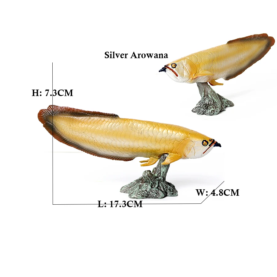 Modellini di Pesci Arowana, Pi - Kids Toys Reviews recensione e prezzo