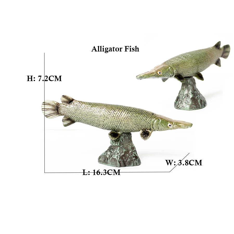 Modellini di Pesci Arowana, Pi - Kids Toys Reviews recensione e prezzo