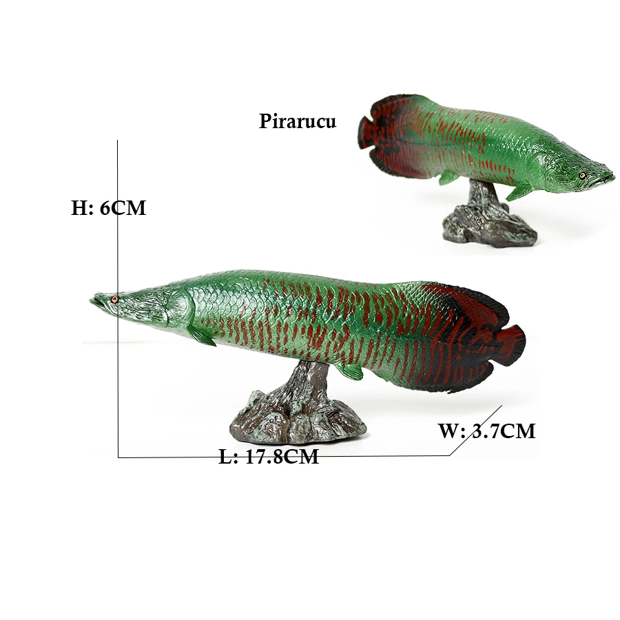 Modellini di Pesci Arowana, Pi - Kids Toys Reviews recensione e prezzo