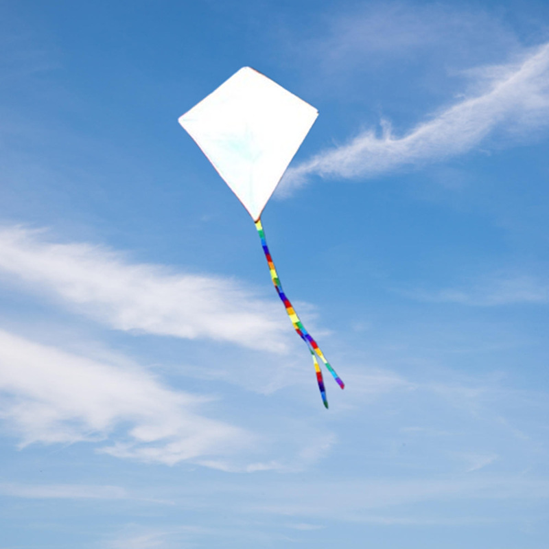 Aquilone fai da te in tessuto  - Kite Wind Outdoor recensione e prezzo